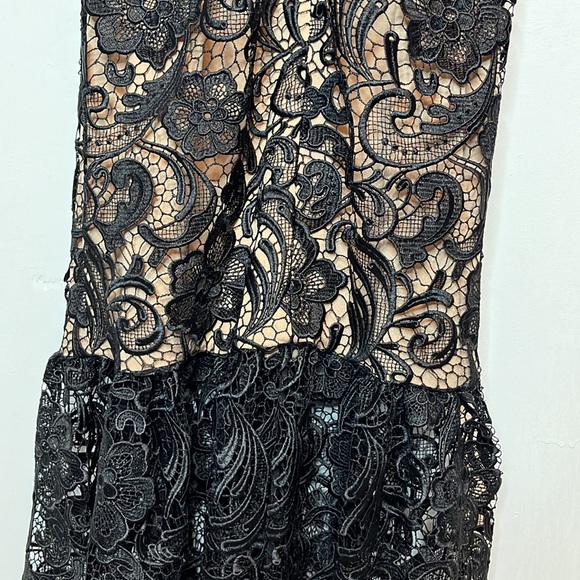 Dress the Population Sophia lace mermaid gown - Picture 12 of 15